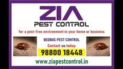  pest control for Restaurents | 5023